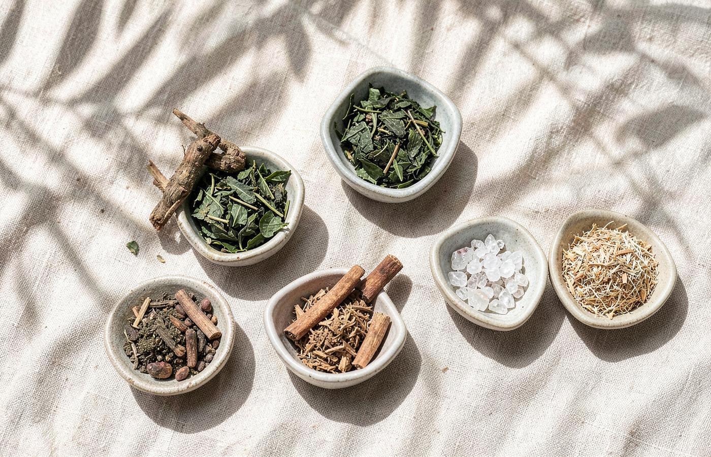 Natural ingredients used in GLP-1 support supplements laid out in ceramic bowls